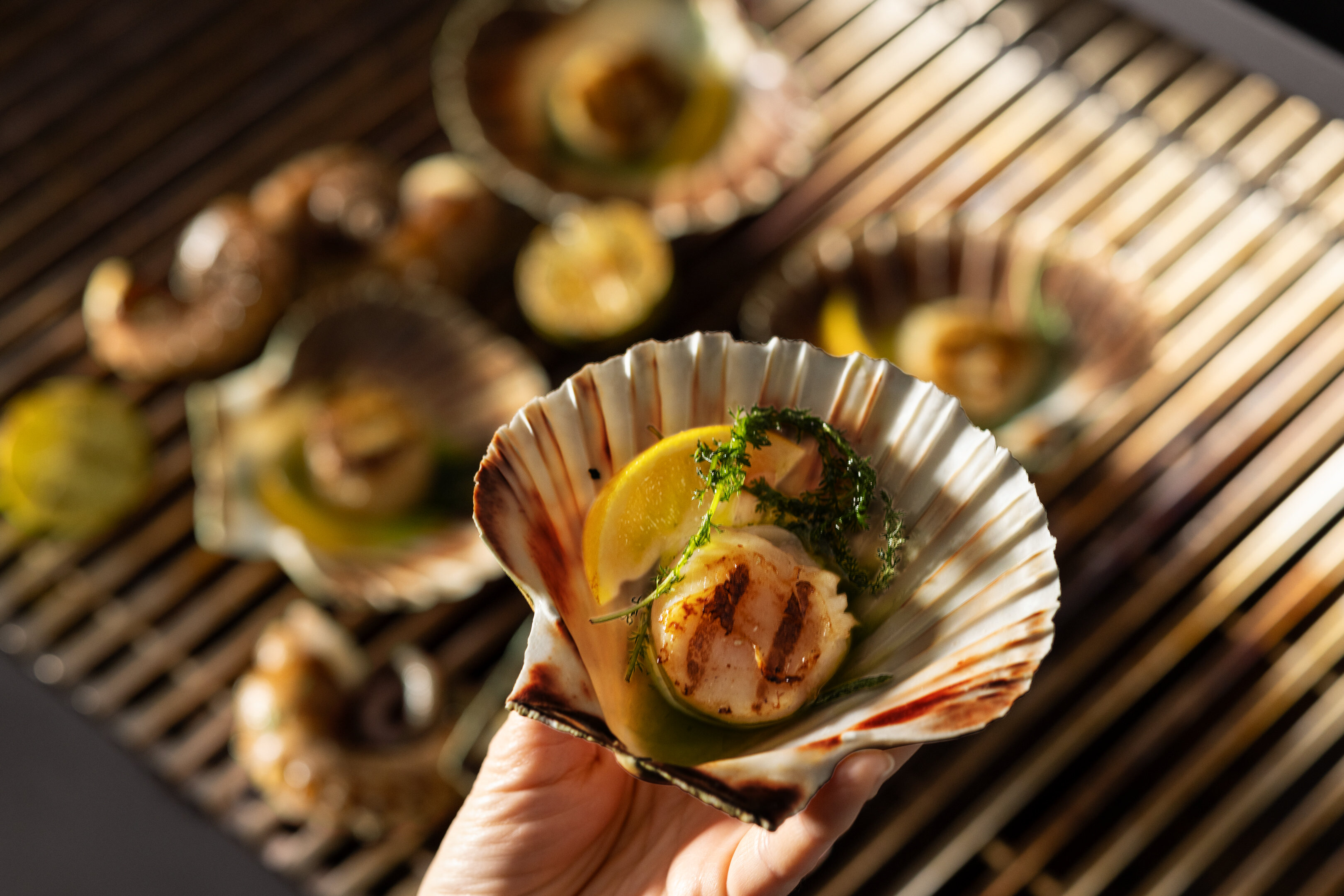 Gegrillte Jakobsmuschel